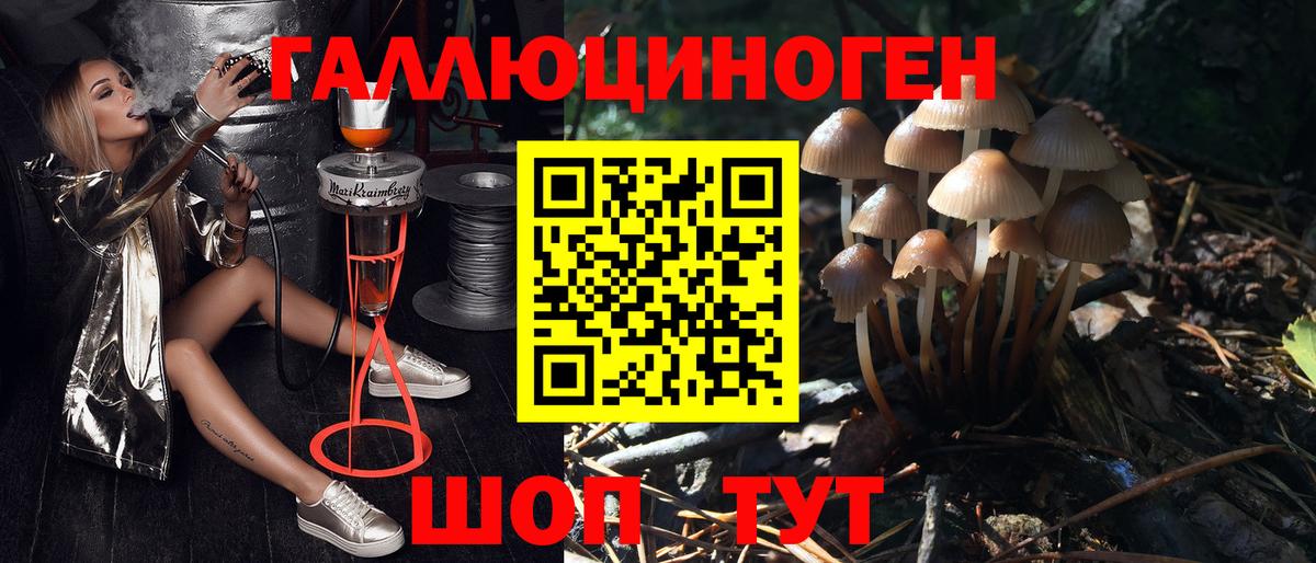 магазин продажи наркотиков  Галлюциногенные грибы Magic Shrooms  Вход с VPN  Галлюциногенные грибы мицелий  Гусиноозёрск 